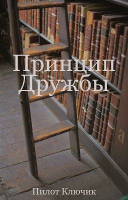 Принцип дружбы