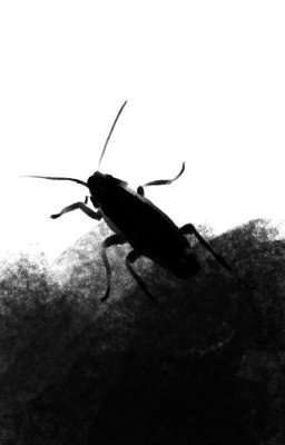 Под тапочком