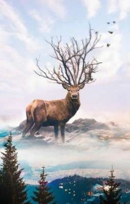 А это облако похоже на оленя