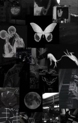 Любимый киллер