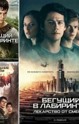 Новенькие в Глэйде. ЗАМОРОЖЕН‼️