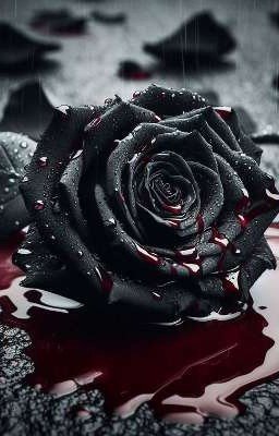 Чёрная роза