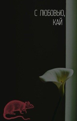 С любовью, Кай