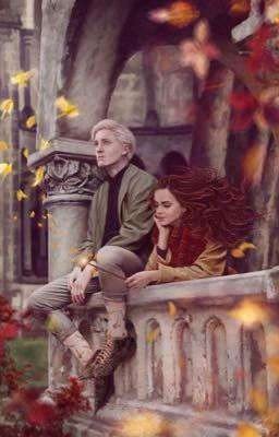 Шипы Гарри Поттер