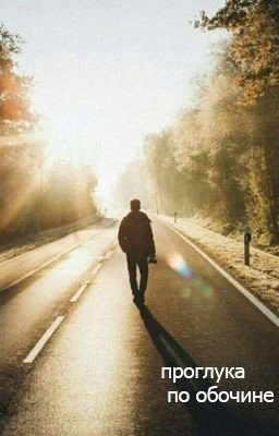 Дневник. Прогулка по обочине