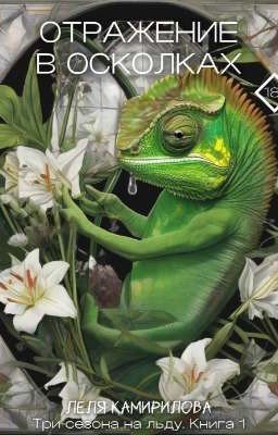 Отражение в осколках
