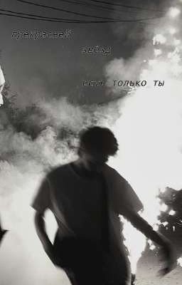 Прекрасней звёзд есть только ты || kuertov