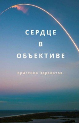 Сердце в объективе // Дилблин