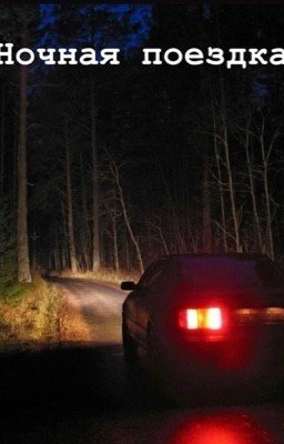 Ночная поездка