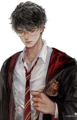 Гарри Поттер и наследие матери