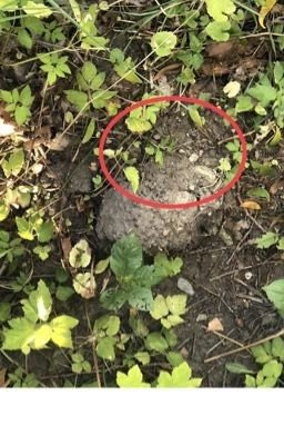 Крайний мир