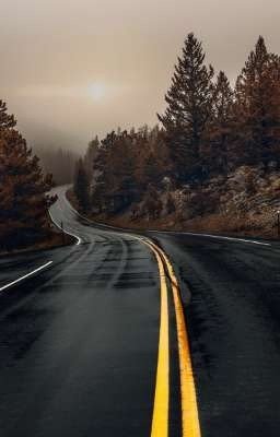 Дорожная триоль