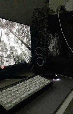 Вечерний стрим|||Куертов