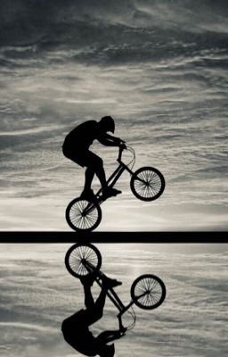 Тень Колибри