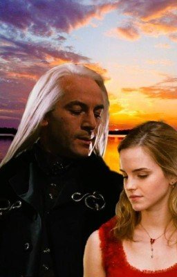 Свет уходящего солнца