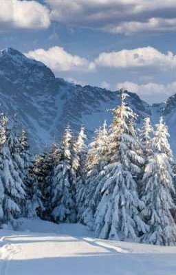 Любовь на снегу