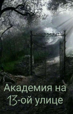 Академия на 13-ой улице
