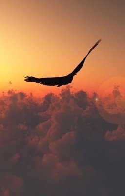 Свободная птица