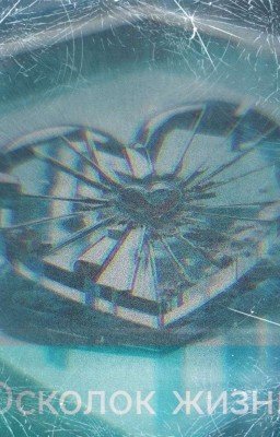 Осколок жизни