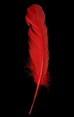 История о Семи днях