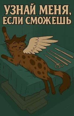Узнай Меня, Если Сможешь. Коты Воители