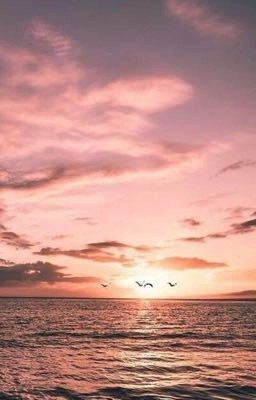  «Cookies&dreams» or Émilia's imagination 