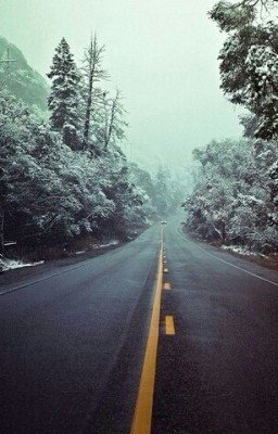 другая жизнь