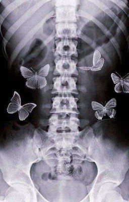 𝘸𝘦 𝘧𝘦𝘭𝘭 𝘪𝘯 𝘭𝘰𝘷𝘦 𝘪𝘯 𝘰𝘤𝘵𝘰𝘣𝘦𝘳~