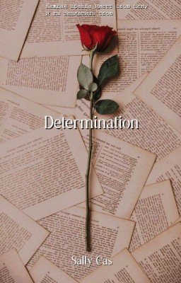 Детерминация