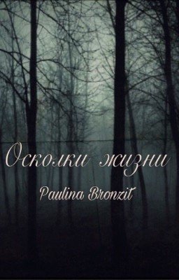 Осколки жизни