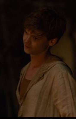 бегущий в лабиринте. ньют