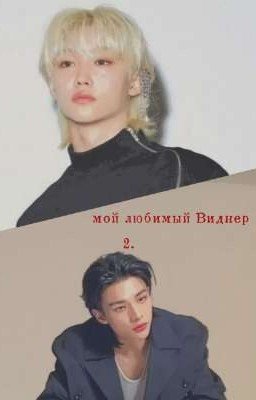 Мой любимый Виднер 2.