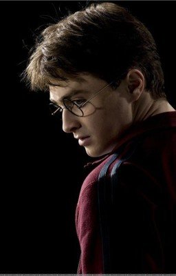 Гарри Поттер и варианты бытия.