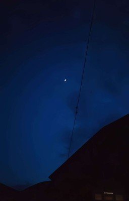 Мозаика чувств