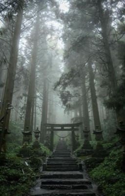 Где-то здесь лежит наш смех.