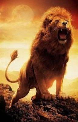 Кайон - Великий лев.