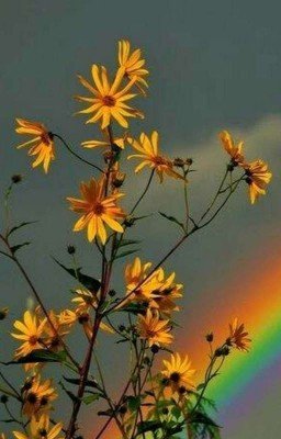 Пошло что-то не так(ЗАМОРОЖЕН)