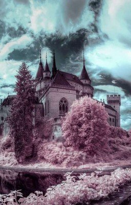 Санаторий "Грёзы любви"