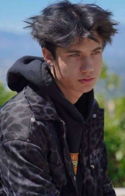 В поисках счастья двух мафий