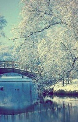 Вечное молчание.