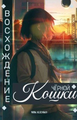 Восхождение чёрной кошки