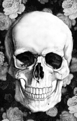 Страшныи истории~