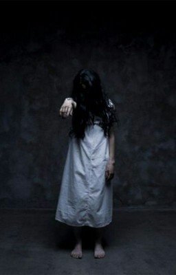 Дневник Сумасшедшей.