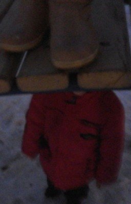 Преследование Жизни.