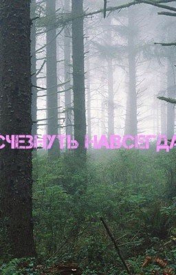 Исчезнуть навсегда.