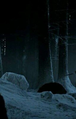 Мы не одни...