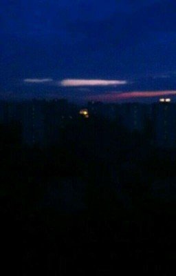 История Выжившего.