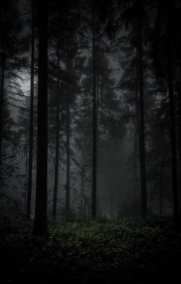 Лагерь смерти