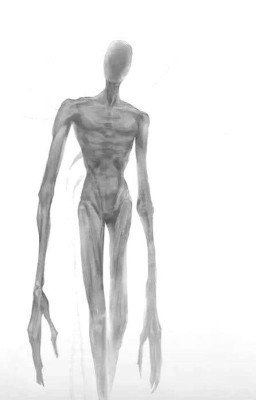 Они живут в тумане