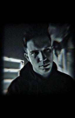 Надо любить жизнь больше, чем смысл жизни. {Завершено}